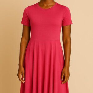 Zara Vibrant Pink Dress